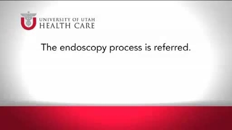 Thumbnail for The Endoscopy Process Is Referred.