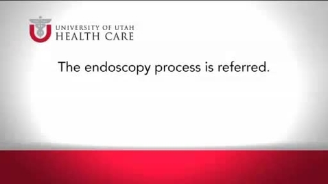 Thumbnail for entry The Endoscopy Process Is Referred.