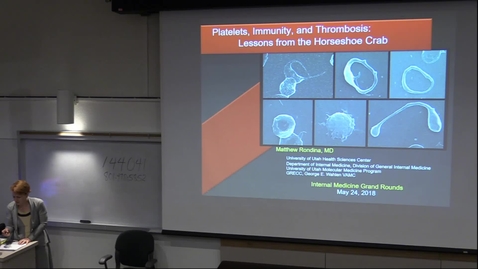 Thumbnail for Platelets, immunity, &amp; thrombosis: lessons from the Horseshoe crab