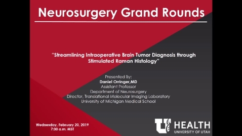 Thumbnail for Streamlining Intraoperative Brain Tumor Diagnosis through Stimulated Raman Histology