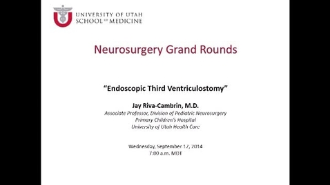Thumbnail for Endoscopic Third Ventriculostomy