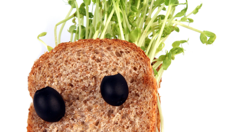 Thumbnail for Make a Well-Informed Decision When Becoming a Vegetarian