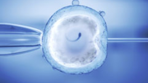 Thumbnail for Should We Genetically Modify Humans?