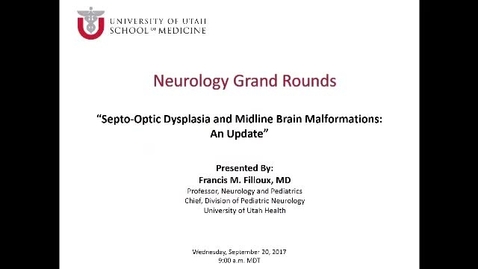 Thumbnail for Septo-Optic Dysplasia and Midline Brain Malformations: An Update