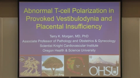 Thumbnail for Abnormal T-cell polarization in provoked vestibulodynia &amp; placental insufficiency
