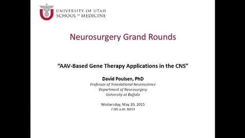 Thumbnail for AAV-Based Gene Therapy Applicaions in the CNS