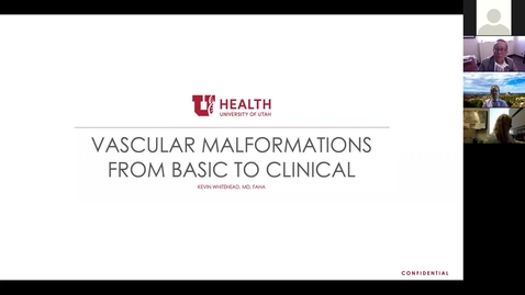 Thumbnail for Vascular malformations from basic to clinical