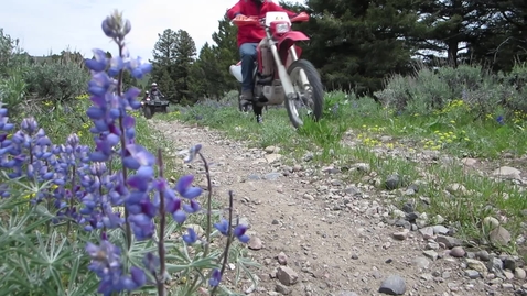 Thumbnail for OHV Safety Tips