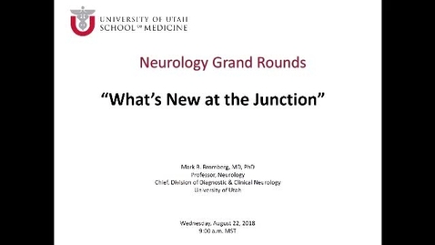 Thumbnail for What is New at the Junction?
