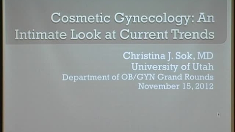 Thumbnail for Cosmetic Gynecology-An Intimate Look at Current Trends