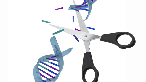 Thumbnail for Innovation: Editing Out Disease