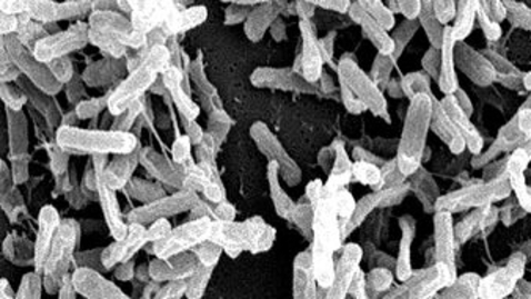 Thumbnail for Combatting the Deadly Problem of Antibiotic Overuse