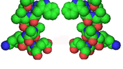 Thumbnail for Small Changes With Big Impacts: Mirror Image Proteins
