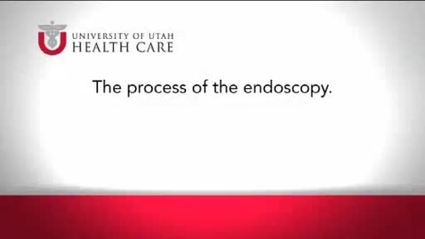 Thumbnail for entry The Process of the Endoscopy