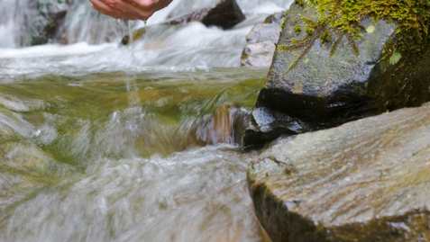 Thumbnail for Risks of Drinking Stream Water