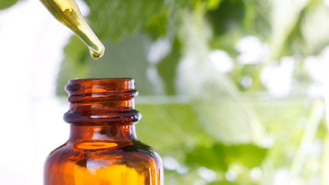 Thumbnail for Traditional Medicines May Interfere With AIDS Treatments