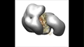 RSC Complex Binding the Nucleosome