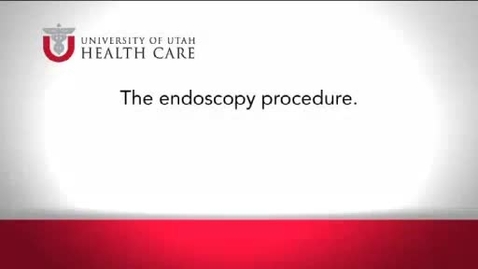 Thumbnail for entry The Endoscopy Procedure