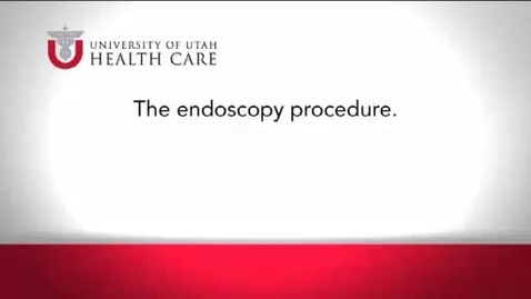 Thumbnail for The Endoscopy Procedure