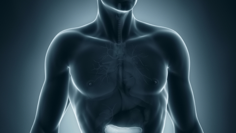 Thumbnail for Should You Get a Pancreas Transplant for Type 1 Diabetes?