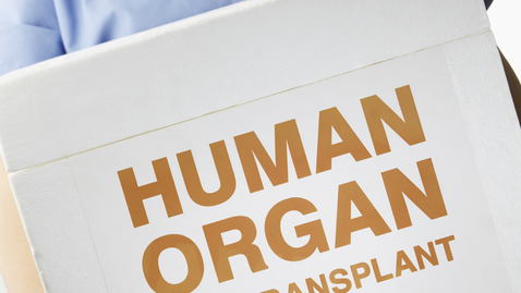 Thumbnail for How Living Donor Liver Transplant Works