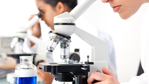 Thumbnail for When Basic Science Intersects With Disease: A Scientist’s Experience