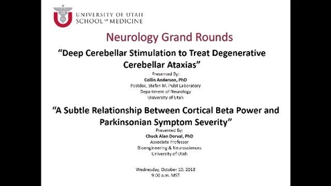 Thumbnail for Deep Cerebellar Stimulation to Treat Degenerative Cerebellar Ataxias / A Subtle Relationship Between Cortical Beta Power and Parkinsonian Symptom Severity