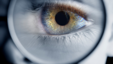 Thumbnail for entry Do You Know the Difference Between the Cornea and the Lens of Your Eye?