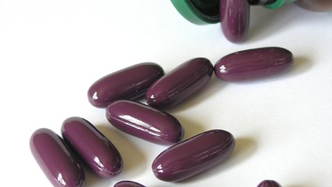 Thumbnail for Ingesting the Placenta—Should You?