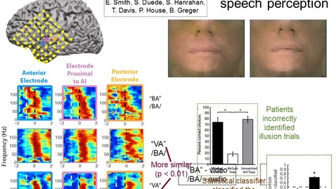 Thumbnail for entry Seeing Is Believing: Neural Representations of Illusory Speech Perception