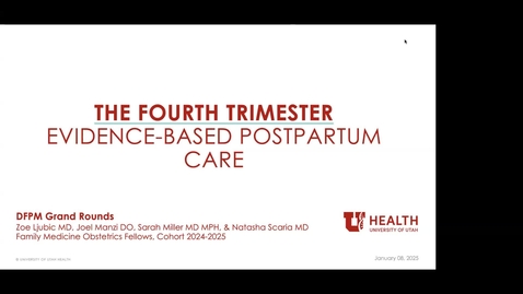 Thumbnail for The Fourth Trimester: an evidence-based approach to postpartum care