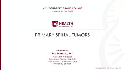 Thumbnail for Primary Spinal Tumors