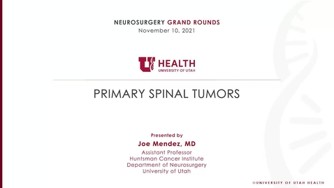 Thumbnail for entry Primary Spinal Tumors