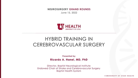 Thumbnail for Hybrid Training in Cerebrovascular Surgery