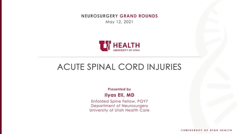 Thumbnail for Acute Spinal Cord Injuries