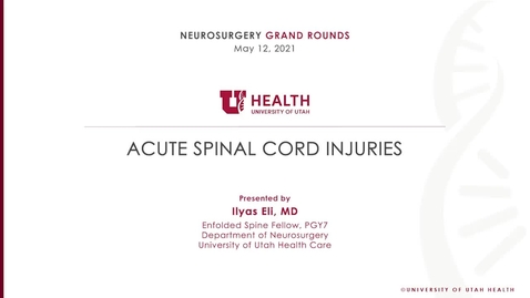 Thumbnail for entry Acute Spinal Cord Injuries