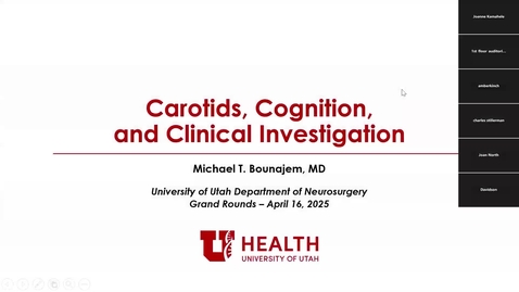 Thumbnail for Carotids, Cognition, and Clinical Investigation