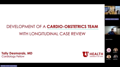 Thumbnail for Development of A Cardio-Obstetrics Team with Longitudinal Case Review