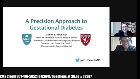 Thumbnail for A Precision Approach to Gestational Diabetes