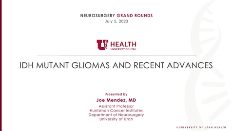 Thumbnail for entry IDH Mutant Gliomas and Recent Advances