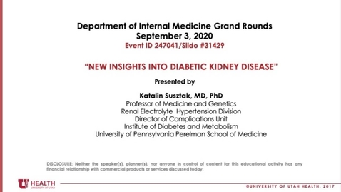 Thumbnail for New Insights into Diabetic Kidney Disease