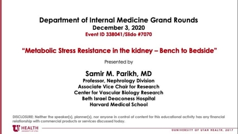 Thumbnail for Metabolic Stress Resistance in the Kidney: Bench to Bedside