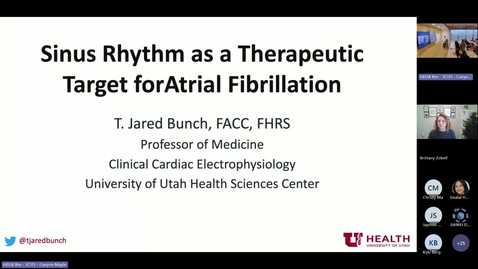 Thumbnail for Sinus Rhythm as a therapeutic target for Atrial Fibrillation