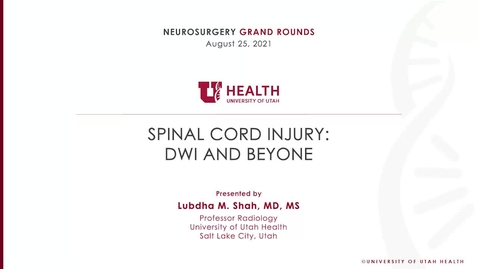 Thumbnail for Clinical Applications of Advanced Spine Imaging