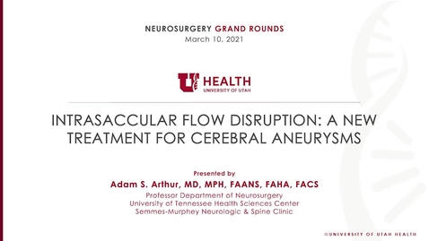 Thumbnail for Intrasaccular Flow Disruption: A New Treatment for Cerebral Aneurysms