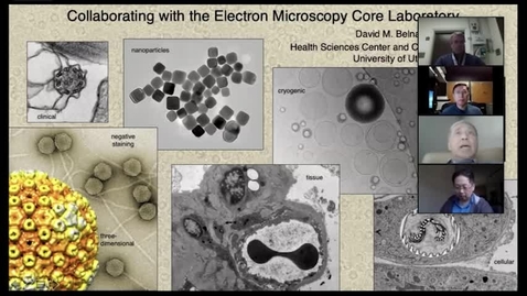 Thumbnail for entry Collaborating with the electron microscopy core laboratory / New strategies to collaborate with the HSC imaging core