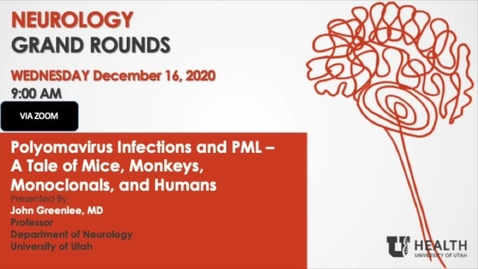 Thumbnail for Polyomavirus Infections and PML - A Tale of Mice, Monkeys, Monoclonals, and Humans