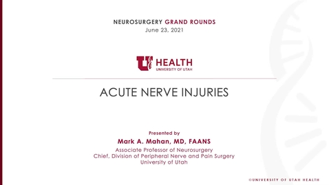 Thumbnail for Acute Nerve Injuries