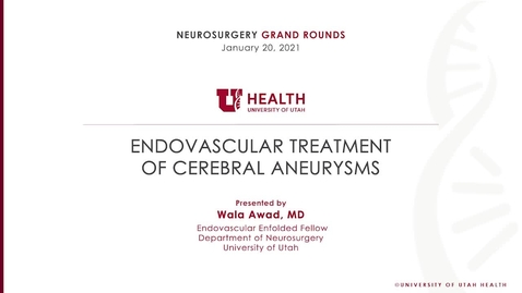 Thumbnail for Endovascular Treatment of Cerebral Aneurysms