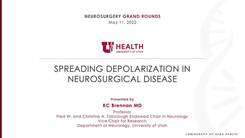 Thumbnail for Spreading Depolarization in Neurosurgical Disease